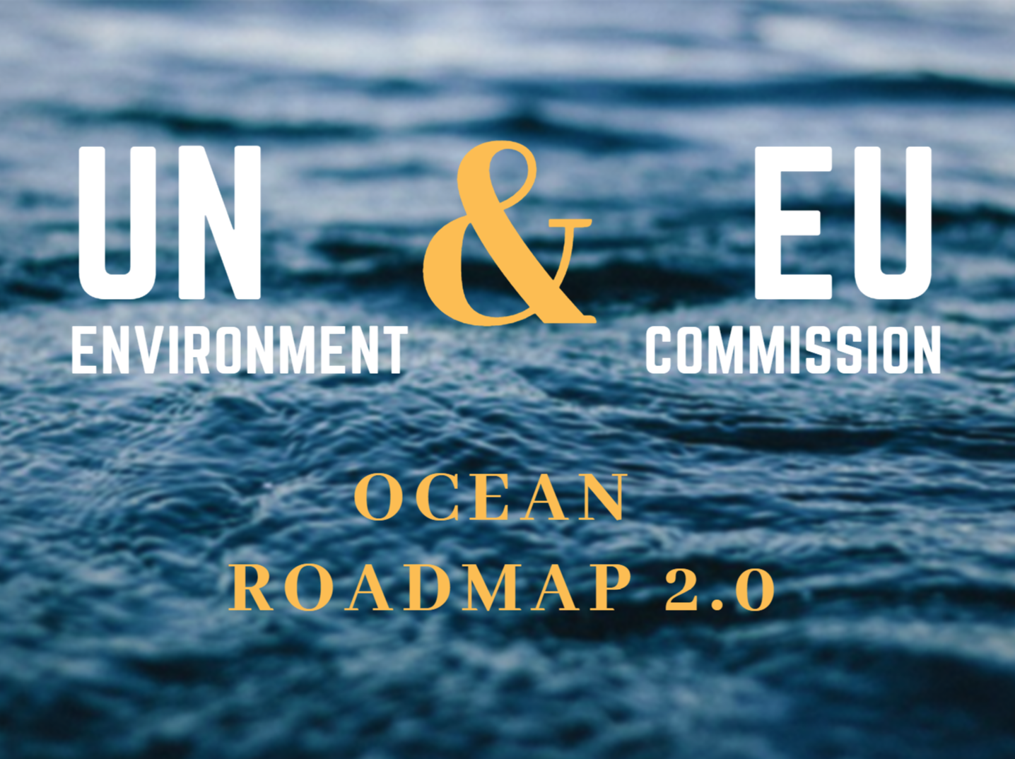 UN Environment and European Commission roadmap